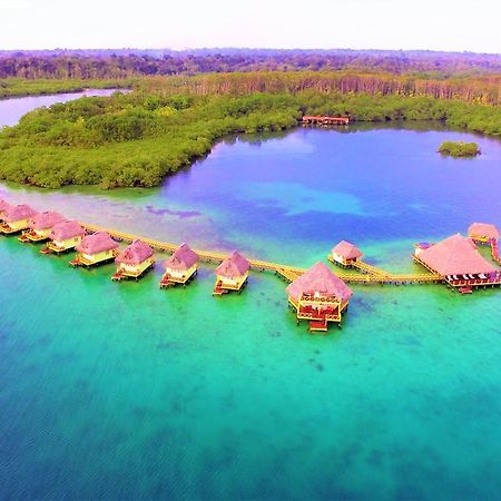 Punta Caracol Acqua Lodge Bocas del Toro Exteriör bild