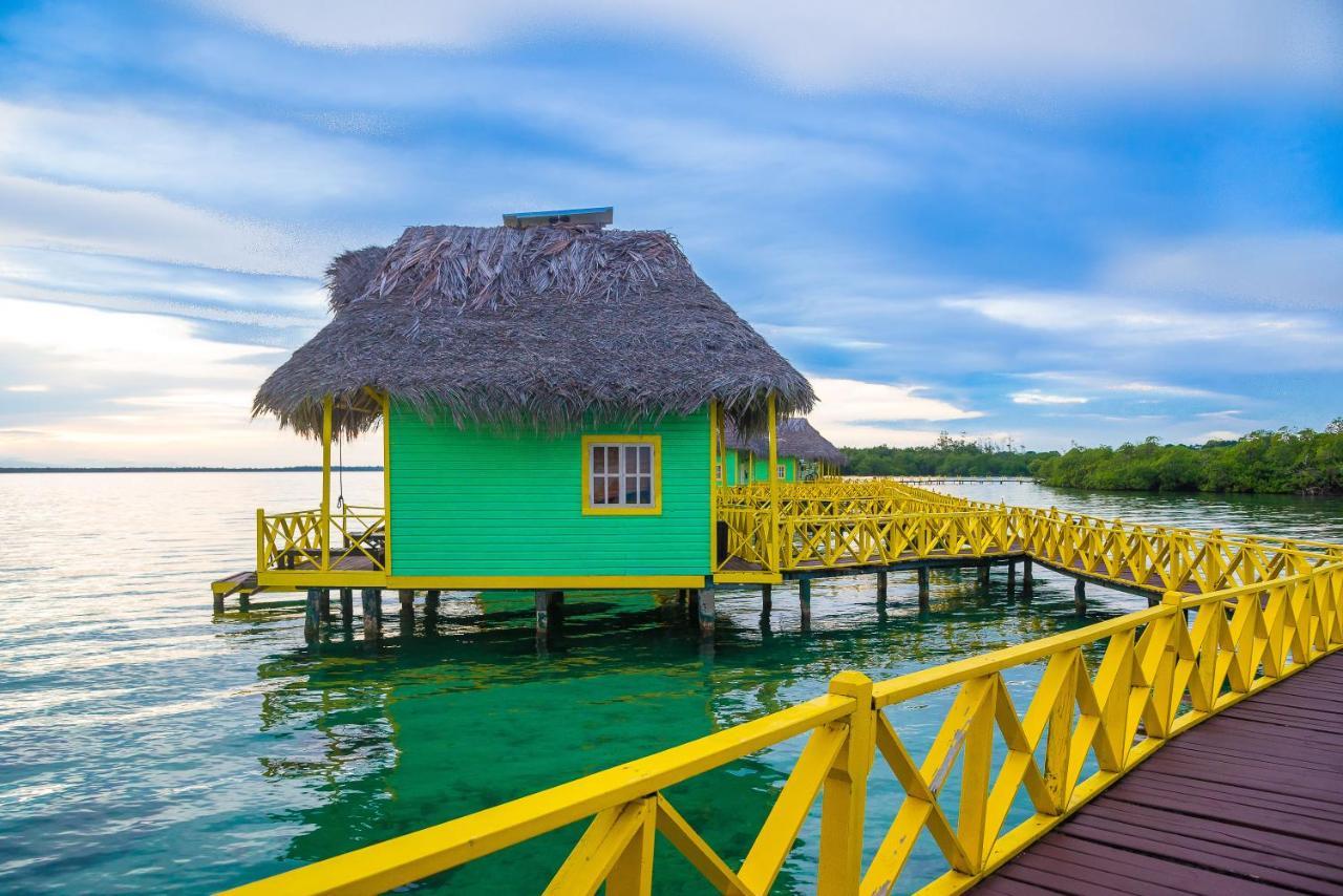 Punta Caracol Acqua Lodge Bocas del Toro Exteriör bild