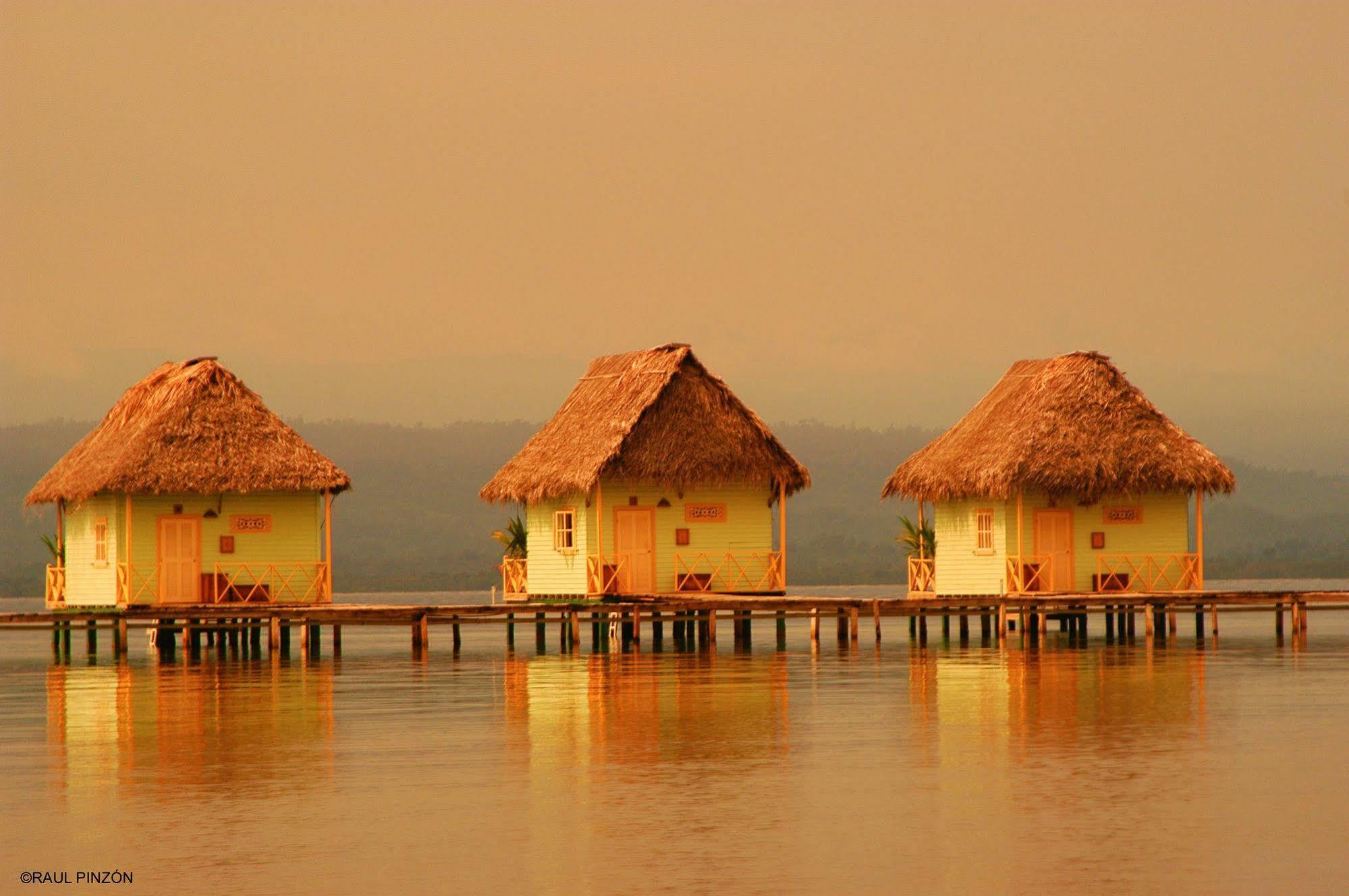 Punta Caracol Acqua Lodge Bocas del Toro Exteriör bild