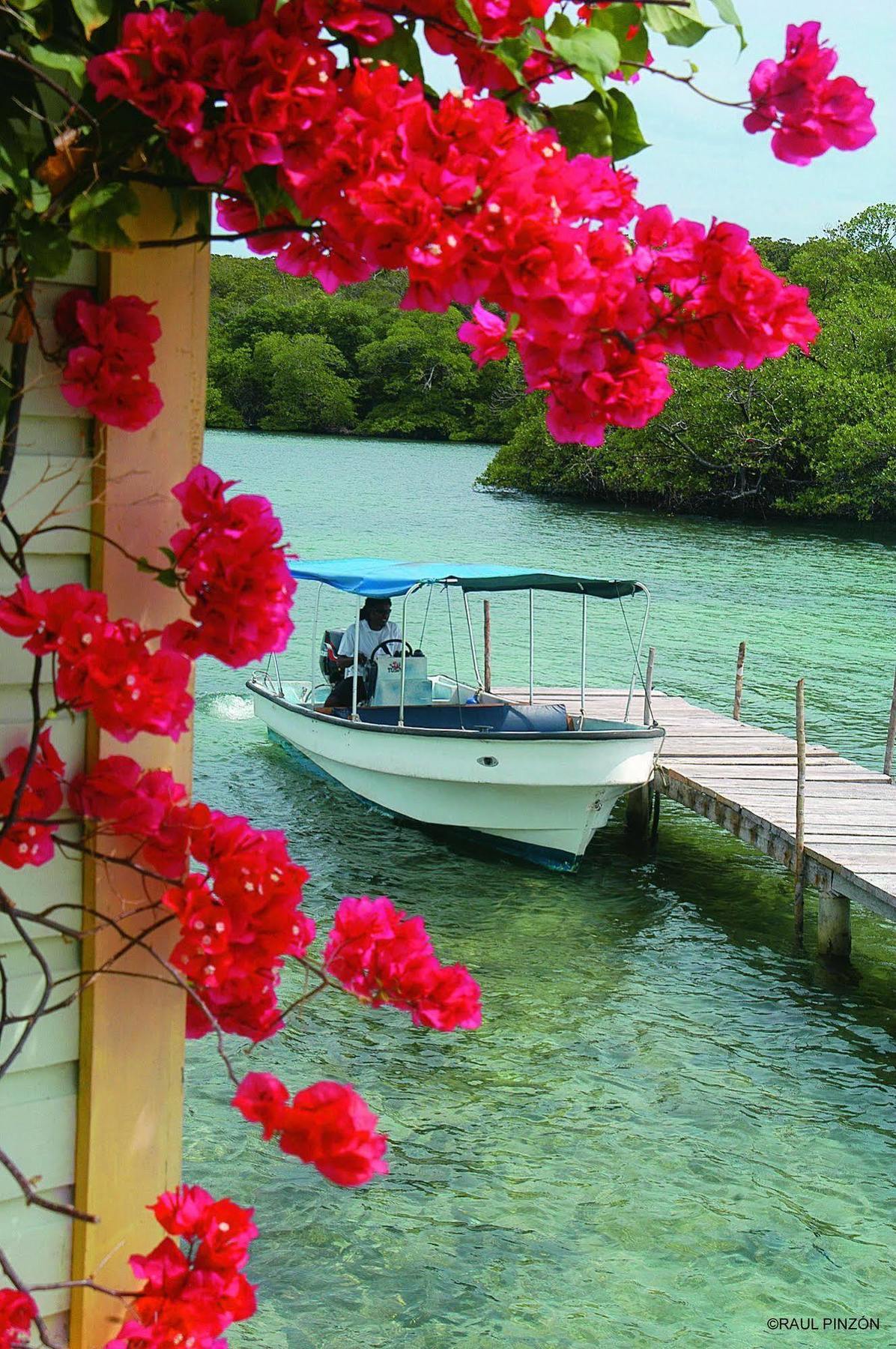 Punta Caracol Acqua Lodge Bocas del Toro Exteriör bild