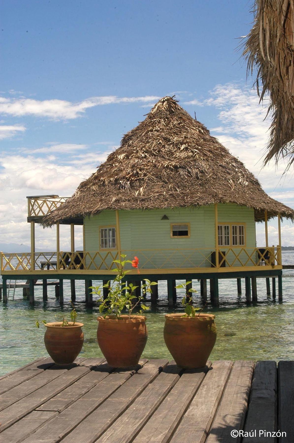 Punta Caracol Acqua Lodge Bocas del Toro Exteriör bild