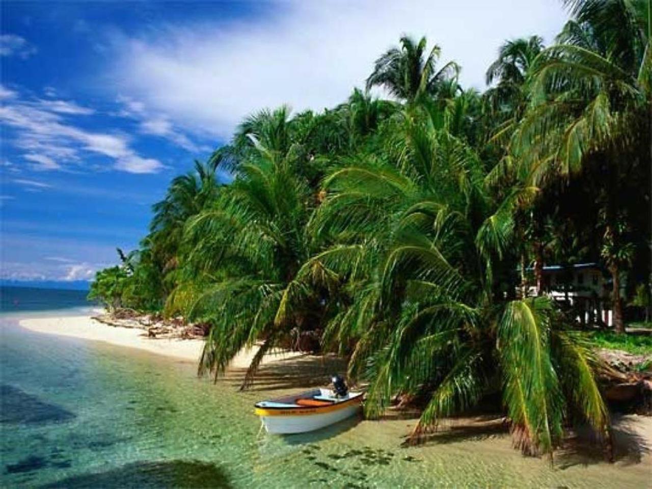 Punta Caracol Acqua Lodge Bocas del Toro Exteriör bild