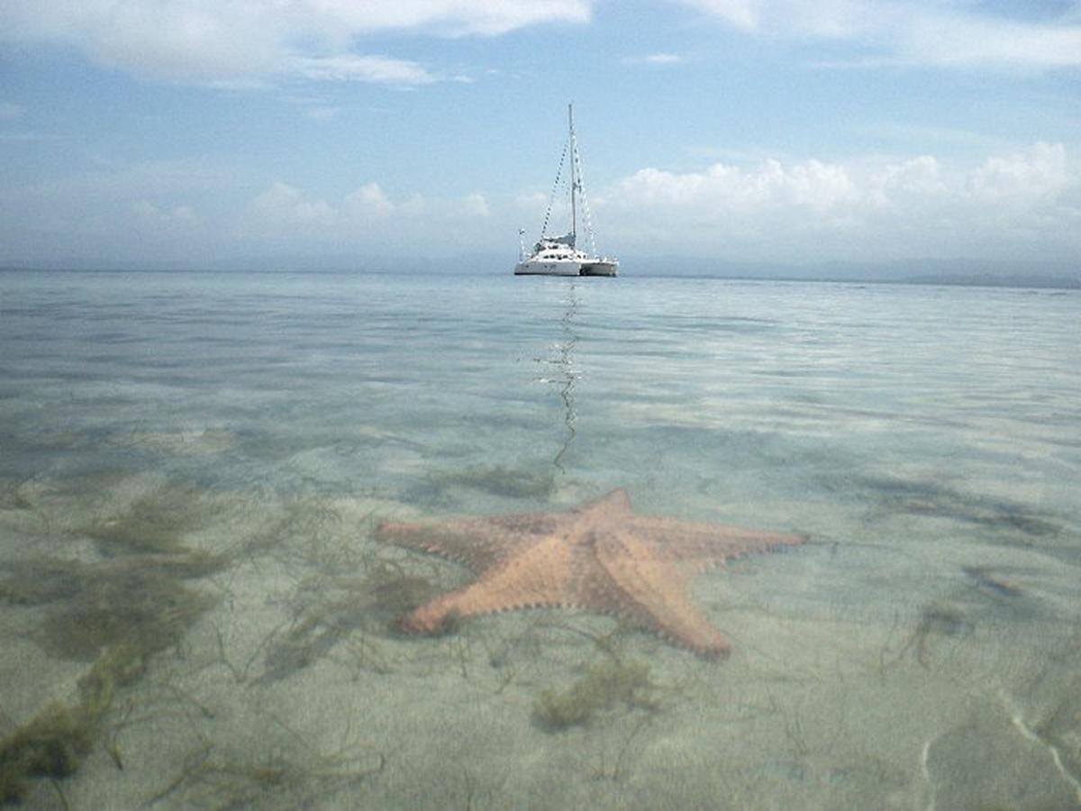 Punta Caracol Acqua Lodge Bocas del Toro Exteriör bild