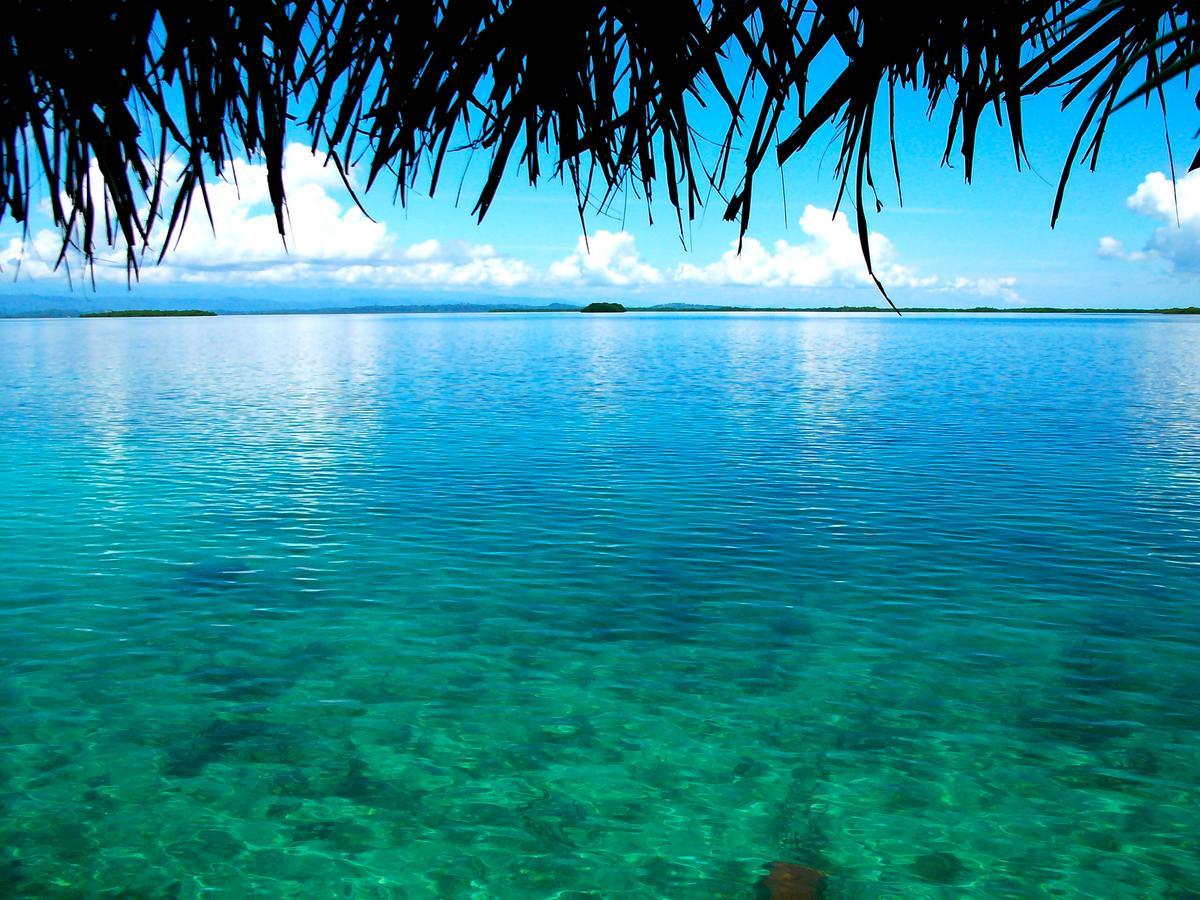 Punta Caracol Acqua Lodge Bocas del Toro Exteriör bild